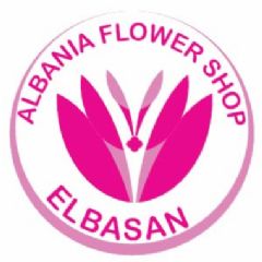 ALBANIA FLOWER SHOP ELBASAN Sheshi Elbasan Arena Shqiperia